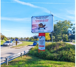 Novi Sad - NS CL01a